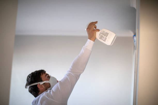 Best Basement Mold Remediation in Radford, VA