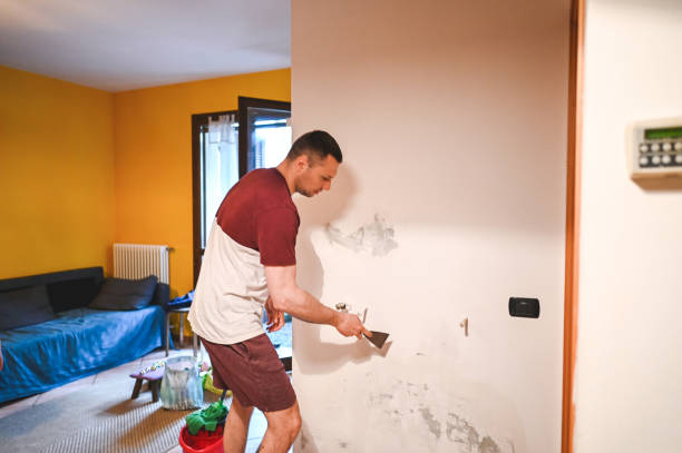 Best Post-Remediation Services in Radford, VA